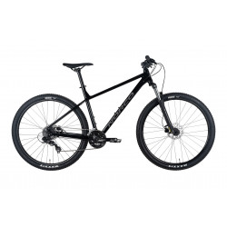Norco Storm 4 29 2025