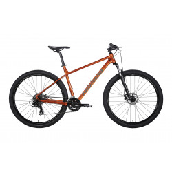 Norco Storm 5 29 2025