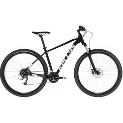 Kellys Spider 50 2025